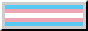 Trans rights now!